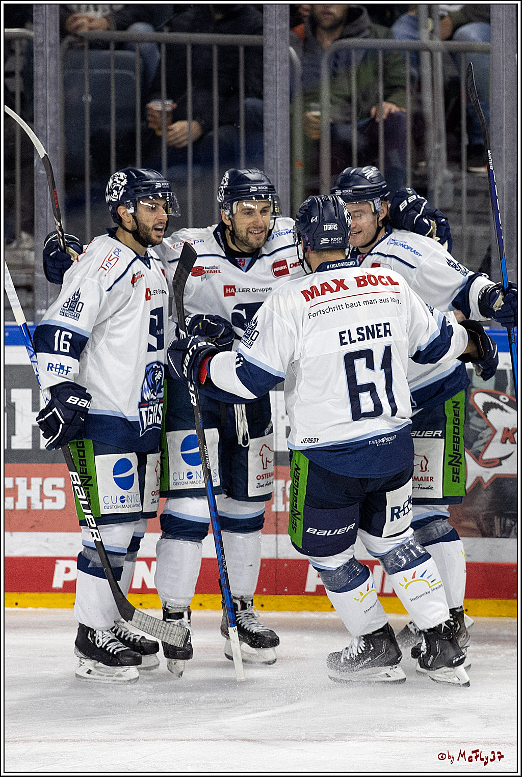 PENNY DEL;  Koelner Haie - Straubing Tigers; Koeln, 15.10.2021